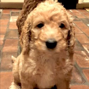 Meet your Posher, Jan